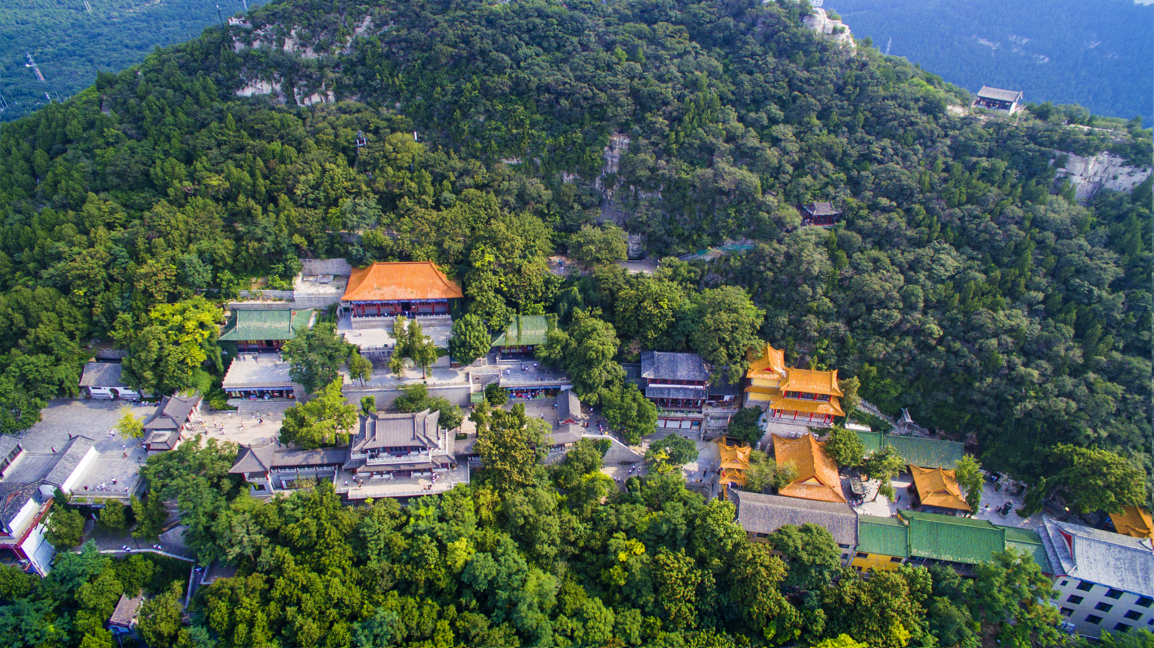 禅寺公告背景